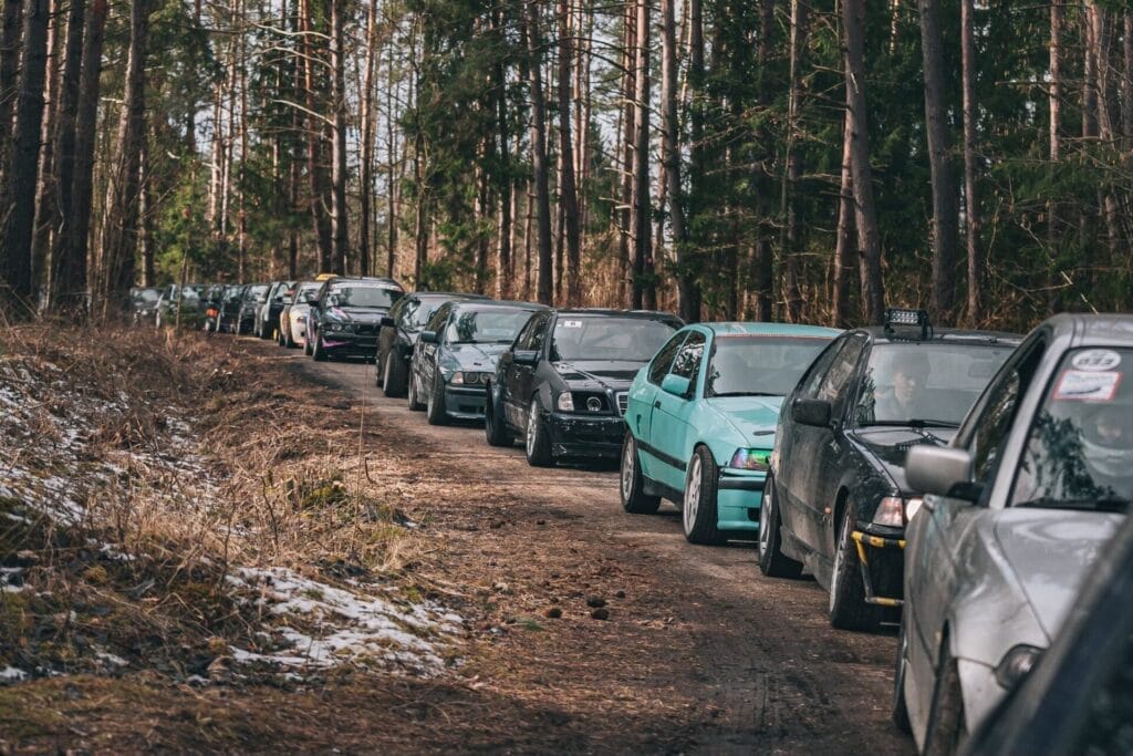 www.driftas.eu Kopūstėliai / Bazys media