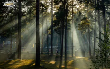 Raganų katilas